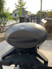 Skandinavischer design gasgril gebraucht kaufen  Bad Oeynhausen