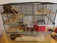 Nager hamsterkäfig glas gebraucht kaufen  Ainring