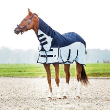 Horse guard regen gebraucht kaufen  Dachau