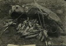 1931 press photo for sale  Memphis