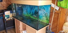 Aquarium 200l led gebraucht kaufen  Pirna, Dohma, Struppen