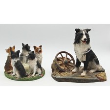 Lot border collie for sale  Batavia