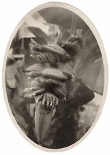 Photo silver print d'occasion  Expédié en Belgium