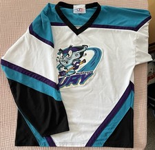 Vintage muskegon fury for sale  Holland