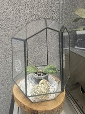 Pokój Szklarnia Witryna Terrarium Szkło Akryl na sprzedaż  Wysyłka do Poland
