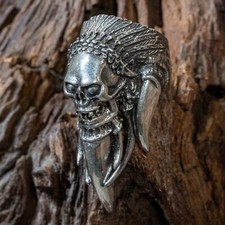 Indian chief skull for sale  NEWTON ABBOT