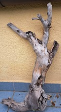 Treibholz stamm basteln gebraucht kaufen  Bassenheim Kettig, St.Sebastian