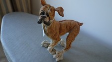 boxer dogs for sale  EGHAM