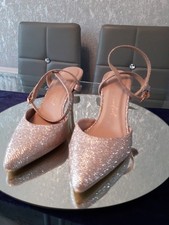 New look rose for sale  FARNBOROUGH