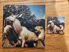 Interpol - Our Love To Admire 2xLP + CD imprensa original dos EUA comprar usado  Enviando para Brazil