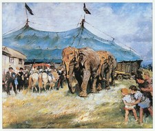 Elephants circus big for sale  BARNSLEY