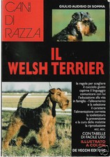 Cani razza audisio usato  Pinerolo