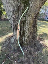 Vtg bear archery for sale  Pittsburgh