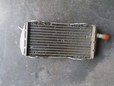 Radiatore acqua originale usato  Udine
