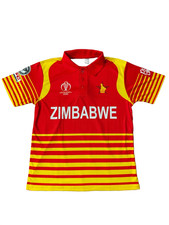 Zimbabwe cricket 2019 for sale  BRADFORD