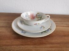 Kaffe teegedeck hutschenreuthe gebraucht kaufen  Strausberg