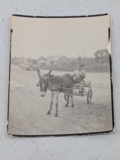 Snapshot vintage photo for sale  Mishawaka