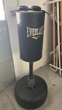 Sacco boxe everlast usato  Vertemate con Minoprio