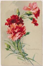Catherina klein carnations for sale  UK