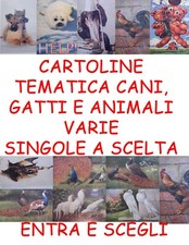 Tematica cani gatti usato  Milano