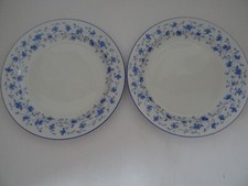 Arzberg blaublüte speisetelle gebraucht kaufen  Köln