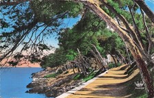 Menton bois cap d'occasion  Vasles
