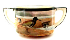 Royal doulton seriesware for sale  WELLS