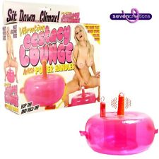 Coussin gonflable gode d'occasion  France