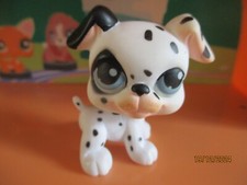 Petshop chien dalmatien d'occasion  Saint-Omer