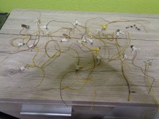 Häuser innenbeleuchtungen . gebraucht kaufen  Troisdorf