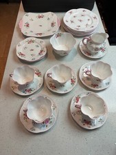 Shelley fine bone for sale  SKIPTON