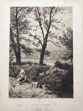 Little shepherds 1890 for sale  BOURNE END