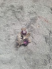 purple thistles for sale purple thistles for sale LANCING