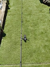Shakespeare carp rod for sale  ALDERSHOT
