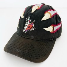 Vintage nhl phoenix gebraucht kaufen  München