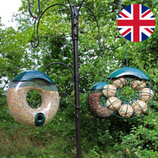 Hanging wild bird for sale  WALTON-ON-THAMES