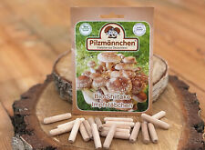 Shiitake impfstäbchen pilze gebraucht kaufen  Großdubrau