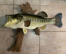 Largemouth bass lbs for sale  Conroe