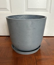 Ecopots oslo plant for sale  LONDON
