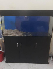 Acquario completo 350 usato Acquario completo 350 usato  Erice