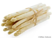 Spargel weiß samen gebraucht kaufen  Pliezhausen