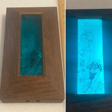 Edris eckhardt light for sale  Morrisville