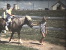 Farm pony rides for sale  Elkins Park