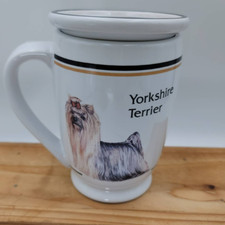 Yorkshire terrier large for sale  Eatonville