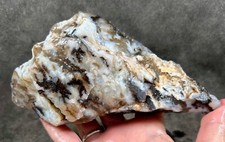 Unknown plume agate for sale  Fountain Valley