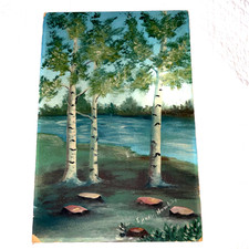 Vintage 50s birch for sale  Nevada City