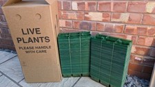 Used pack plant for sale  SOUTHPORT