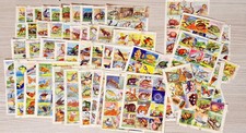 Animali tutto set usato  Italia