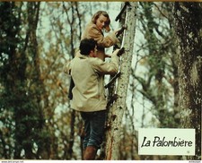 Palombière bourbault christia d'occasion  Carpentras