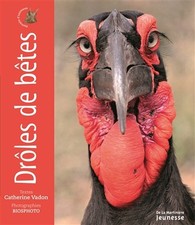 Droles betes catherine d'occasion  France